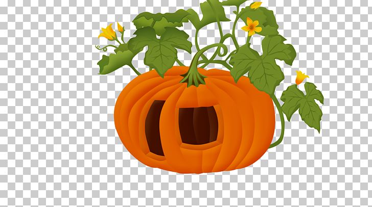 Personalized Pumpkin PNG, Clipart, Calabaza, Cucurbita, Cucurbita Maxima, Flower, Food Free PNG Download