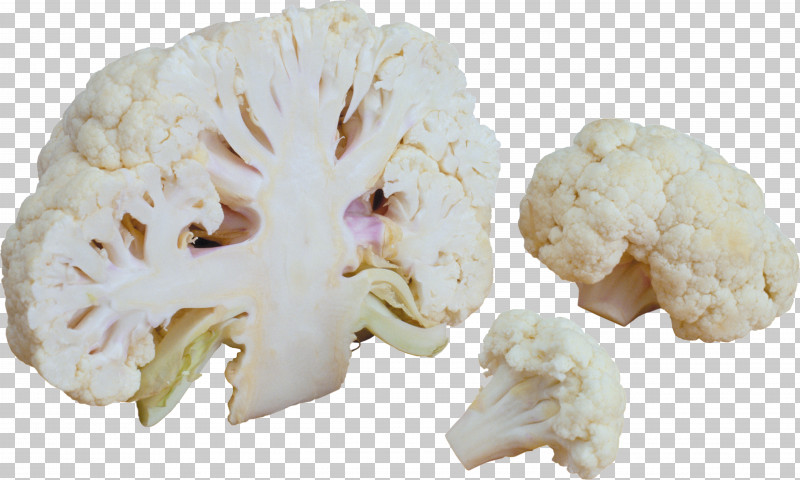 Cauliflower PNG, Clipart, Broccoli, Broccoli Sprouts, Brussels Sprout, Cabbage, Cauliflower Free PNG Download