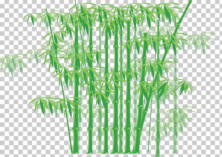 Bamboo PNG, Clipart, Art, Bamboo, Bamboo Border, Bamboo Forest, Bamboo Frame Free PNG Download