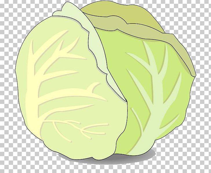 Cabbage Chemical Element PNG, Clipart, Boy Cartoon, Cabbage, Cartoon, Cartoon Alien, Cartoon Character Free PNG Download