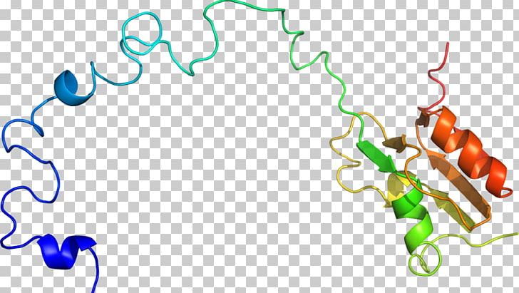 Line Point Organism PNG, Clipart, Area, Art, Artwork, Bovine Pancreatic Ribonuclease, Line Free PNG Download