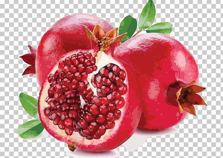 Pomegranate Juice PNG, Clipart, Accessory Fruit, Berry, Cranberry, Desktop Wallpaper, Diet Food Free PNG Download