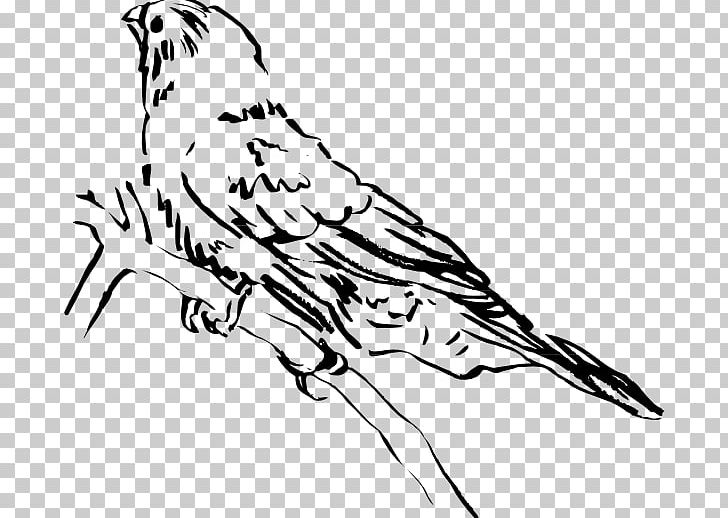 Beak Bird Lark PNG, Clipart, Animal, Animals, Art, Artwork, Beak Free PNG Download