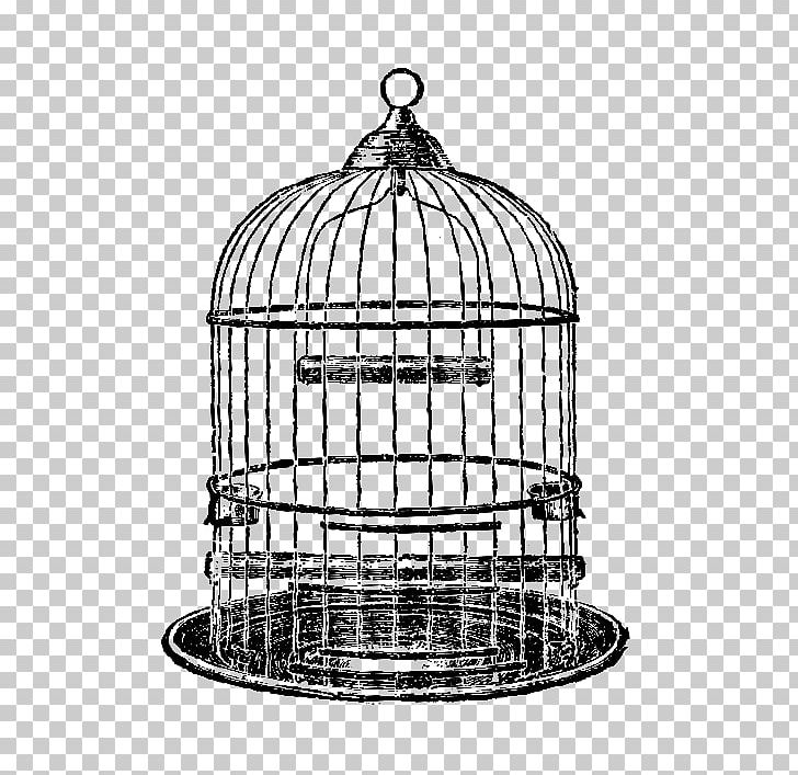 Birdcage Parrot PNG, Clipart, Animals, Art, Bird, Birdcage, Black And White Free PNG Download