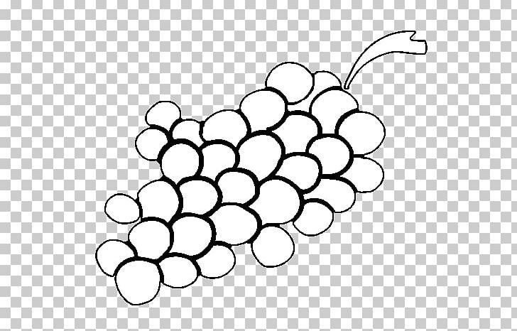 Grape Drawing Coloring Book Fruit Food PNG, Clipart, Area, Black, Black And White, Circle, Color Free PNG Download