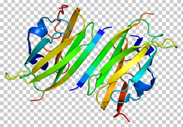 Integrin Beta 7 Integrin Alpha 4 ITGAE VLA-4 PNG, Clipart, Addressin, Area, Art, Artwork, Cadherin Free PNG Download