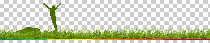 Wheatgrass Desktop Computer Commodity PNG, Clipart, Commodity, Computer, Computer Wallpaper, Desktop Wallpaper, Field Free PNG Download