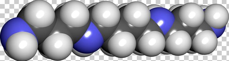 Spermidine Odor Semen Polyamine Molecule PNG, Clipart, Blue, Chemical Compound, Chemical Substance, Chemistry, Growth Factor Free PNG Download