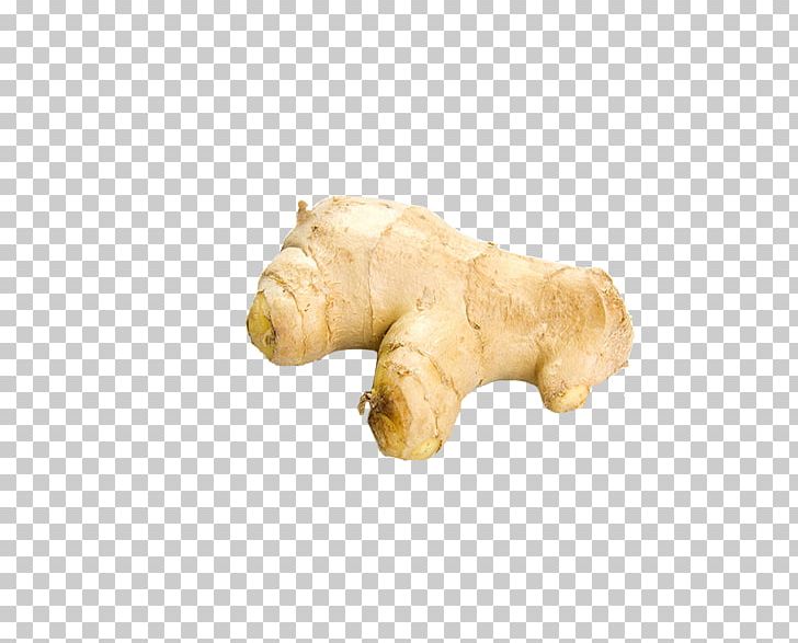 Ginger Root Vegetables Icon PNG, Clipart, Animal Cracker, Download, Drawing, Euclidean Vector, Food Free PNG Download