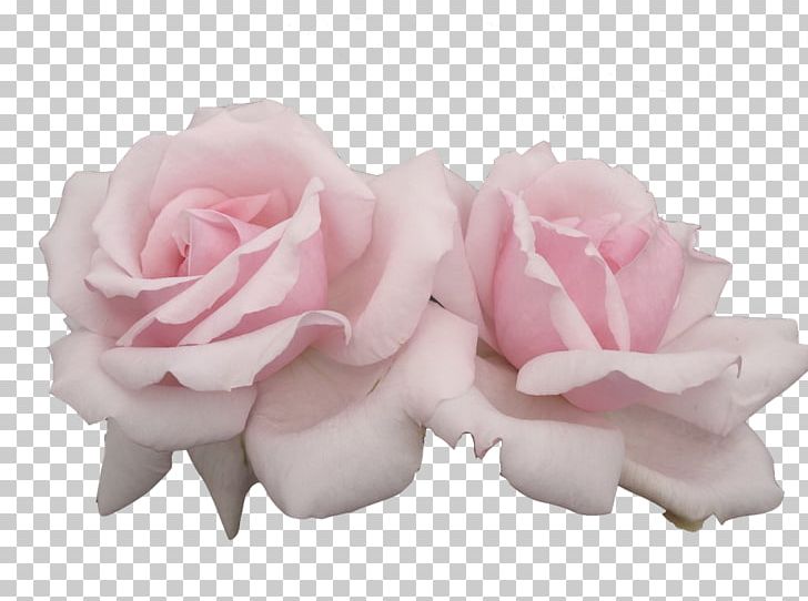 Rose Flower Pastel PNG, Clipart, Cut Flowers, Desktop Wallpaper, Drawing, Flower, Flowering Plant Free PNG Download