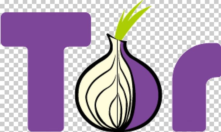 Tor Browser Web Browser Onion Routing Anonymity PNG, Clipart, Anonymity, Anonymous Web Browsing, Computer Network, Computer Security, Computer Software Free PNG Download