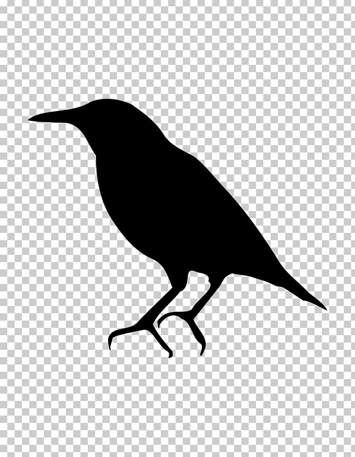 Bird Common Starling American Crow Silhouette PNG, Clipart, American Crow, Animal, Animals, Beak, Bird Free PNG Download