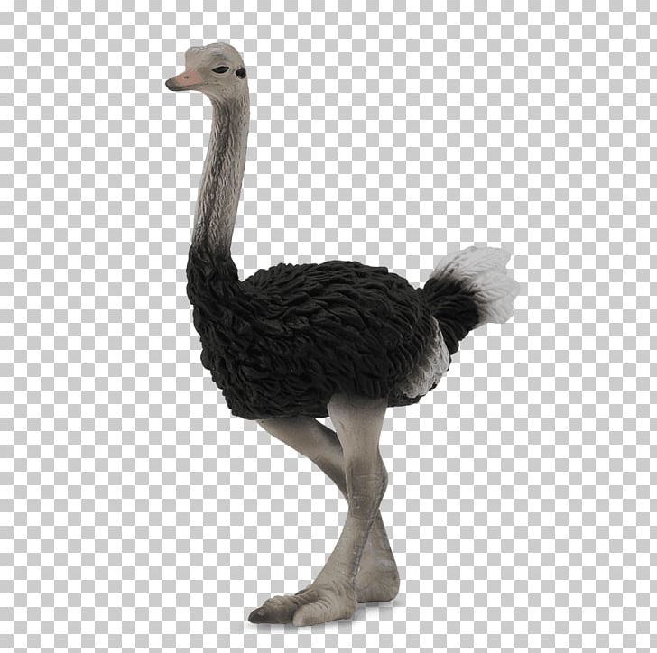 Common Ostrich Collecta Wildlife Figurine Action & Toy Figures PNG, Clipart, Action Toy Figures, Animal Figure, Animal Figurine, Beak, Bird Free PNG Download