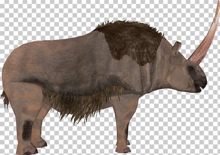 Elasmotherium Horned Gopher Bison Mammal PNG, Clipart, Animal, Animals, Bison, Bull, Cattle Free PNG Download