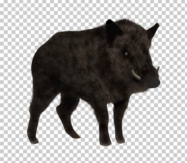 Wild Boar Animal Planet Bambino Cat Peccary PNG, Clipart, Animal, Animal Planet, Bambino Cat, Cattle, Cattle Like Mammal Free PNG Download