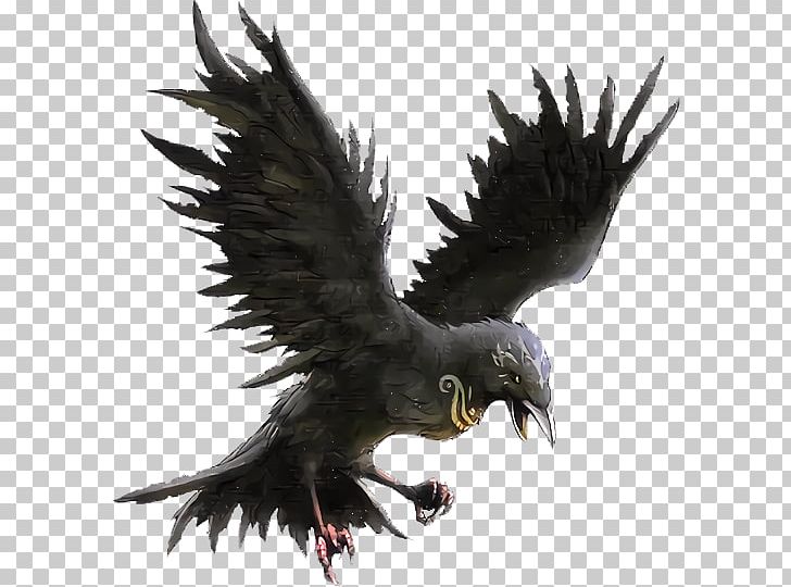 Fire Emblem Awakening Fire Emblem: Radiant Dawn Fire Emblem: Path Of Radiance Fire Emblem Fates Super Smash Bros. Melee PNG, Clipart, Accipitriformes, Bald Eagle, Beak, Bird, Bird Of Prey Free PNG Download