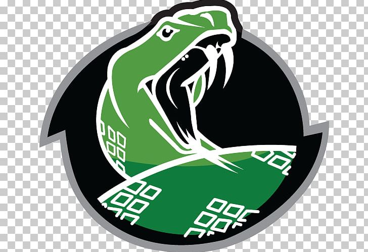 Ronald Reagan High School Sport Logo Cheerleading PNG, Clipart, Amphibian, Brand, Cheerleading, Emblem, Green Free PNG Download