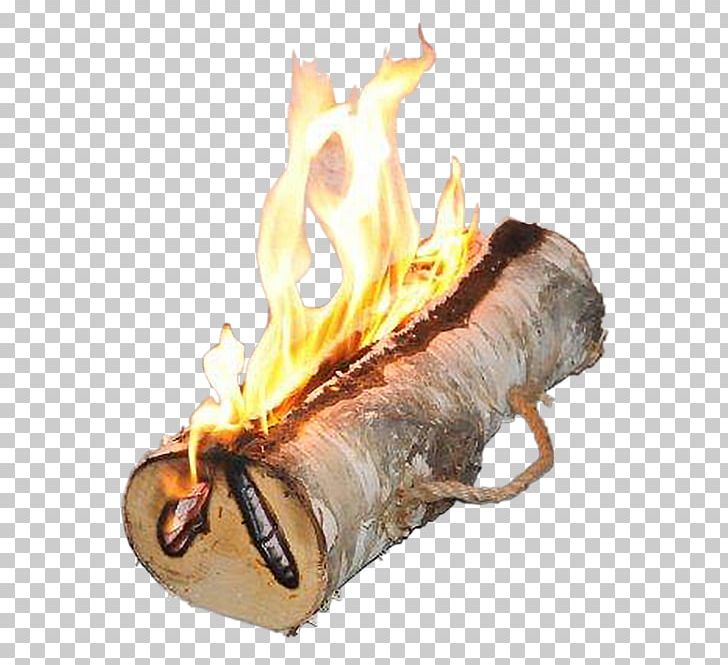Bonfire Yule Log Fireplace Light PNG, Clipart, Berken, Birch, Bonfire, Burn, Campfire Free PNG Download