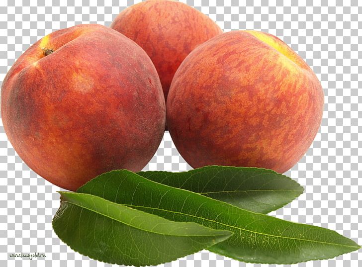 Fruit Nectarine Food PNG, Clipart, Apple, Apricot, Auglis, Cherry, Download Free PNG Download