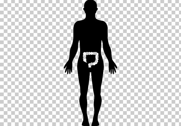 Human Body Female Body Shape Homo Sapiens PNG, Clipart, Abdomen, Anatomy, Arm, Art, Black Free PNG Download
