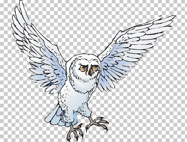 Snowy Owl Drawing PNG, Clipart, Artwork, Barred Owl, Beak, Bird, Bird Of Prey Free PNG Download