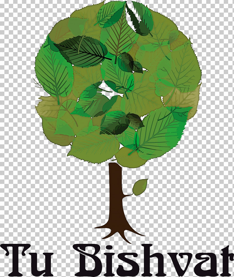 Tu BiShvat Jewish PNG, Clipart, Drawing, Jewish, Tree, Tu Bishvat, Vector Free PNG Download