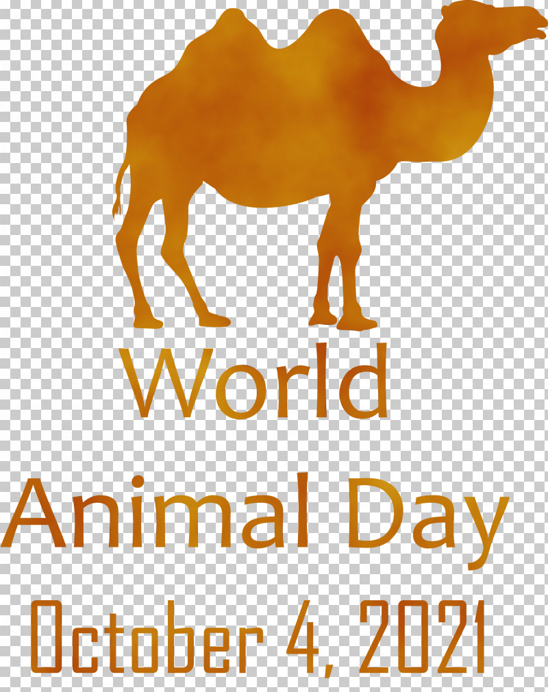Dromedary Alderley Systems Ltd Snout Font Name PNG, Clipart, Animal Day, Camels, Dromedary, Meter, Name Free PNG Download