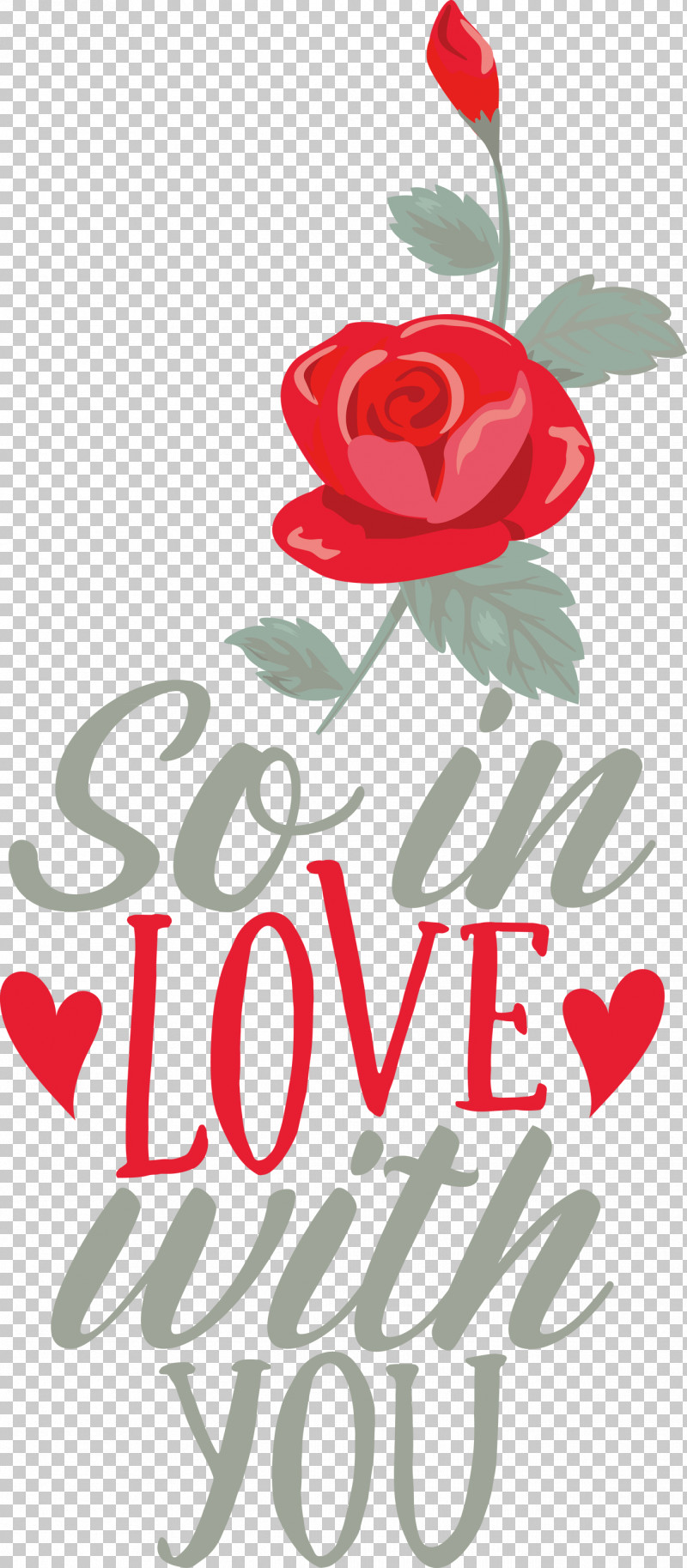 So In Love With You Valentines Day Valentine PNG, Clipart, Cut Flowers, Floral Design, Garden, Garden Roses, Logo Free PNG Download