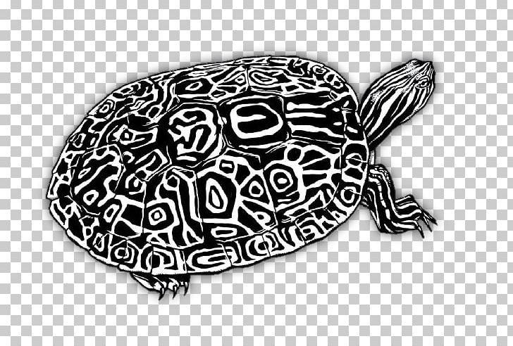 Box Turtles Tortoise Reptile Painted Turtle PNG, Clipart, Black And White, Box Turtle, Box Turtles, Drawing, Eastern Box Turtle Free PNG Download