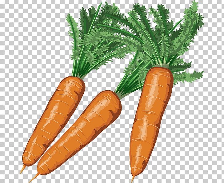 Child Animal Ukraine Game Ukrainian PNG, Clipart, Animal, Baby Carrot, Carrot, Child, Didactic Method Free PNG Download