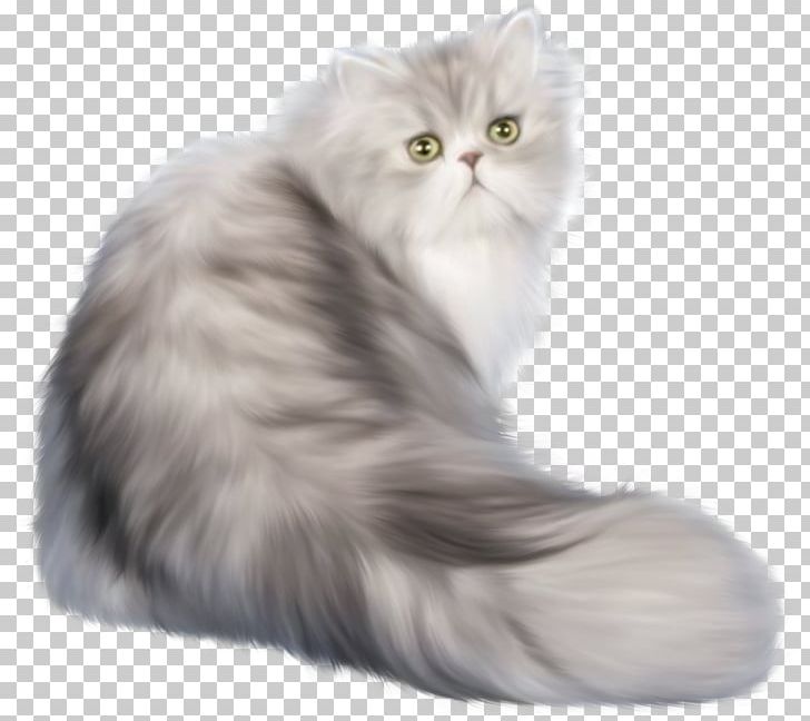 Cats PNG, Clipart, Cats Free PNG Download