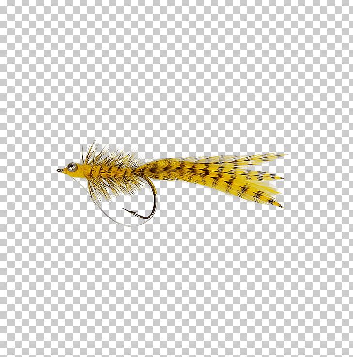 Woolly Bugger Roundworms Fly Fishing Fishing Bait PNG, Clipart, Bead, Eye, Feather, Fishing, Fishing Bait Free PNG Download