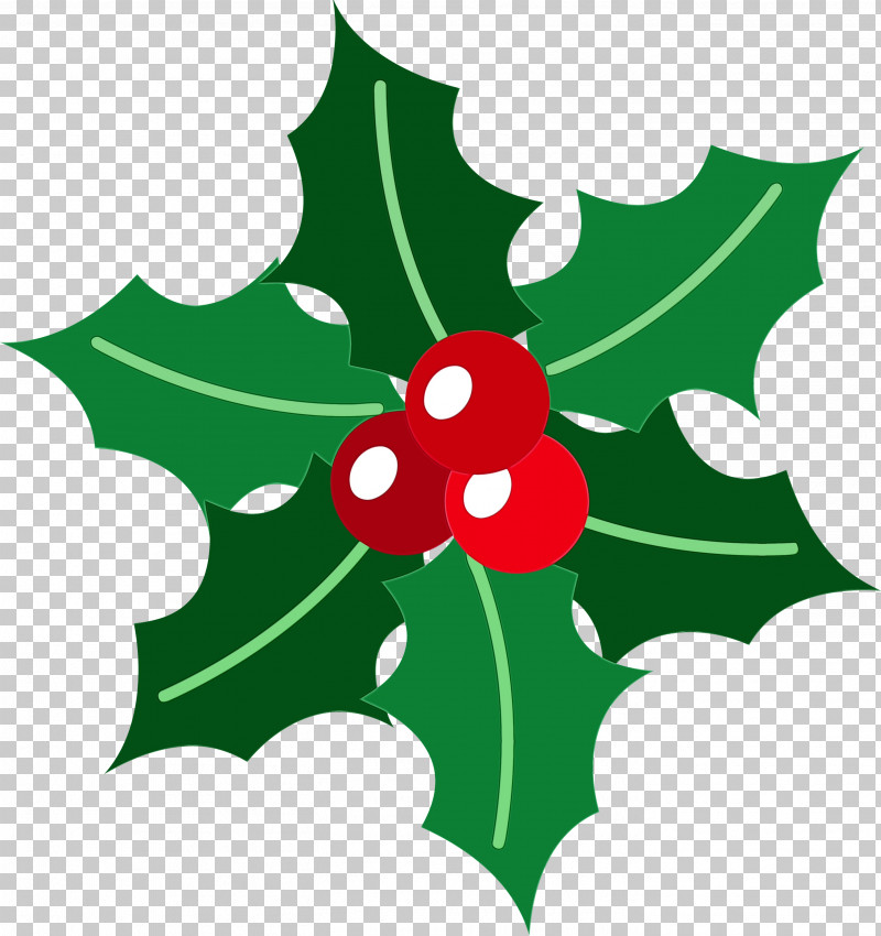 Holly PNG, Clipart, American Holly, Christmas Ornament, Flower, Holly, Leaf Free PNG Download