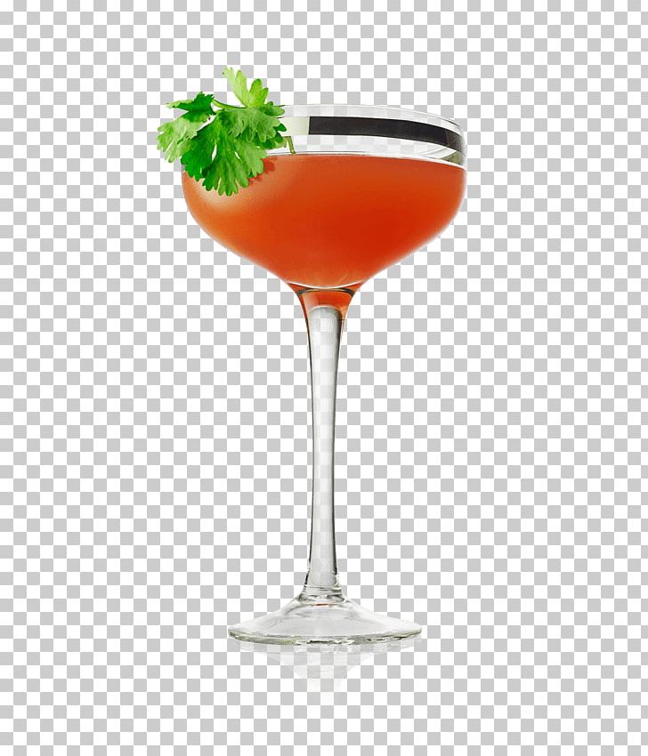 Cocktail Garnish Gin And Tonic Daiquiri PNG, Clipart, Beefeater Gin, Blood And Sand, Bloody Mary, Classic Cocktail, Cocktail Free PNG Download