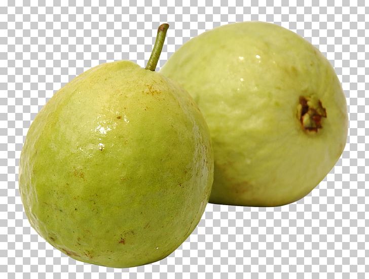 Guava Fruit PNG, Clipart, Australia, Banana, Citron, Citrus, Clip Art Free PNG Download
