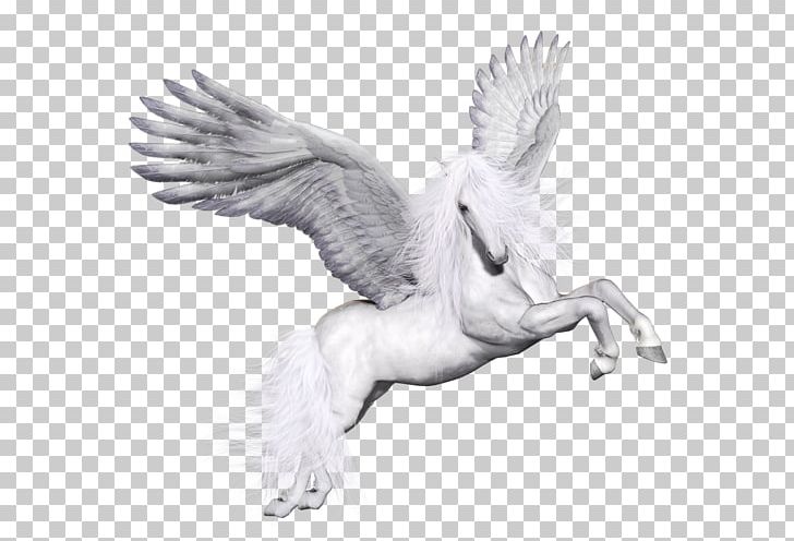Horse Pegasus Unicorn PNG, Clipart, Animals, Art, Artwork, Beak, Bird Free PNG Download