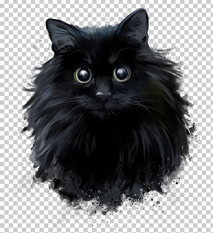 Persian Cat Black Cat Norwegian Forest Cat Drawing PNG, Clipart, Black,  Black And White, Carnivoran, Cat,