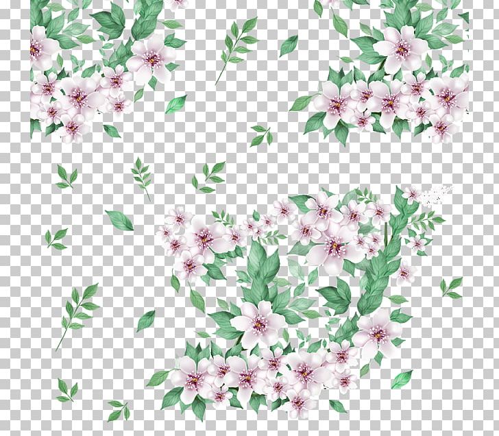 Floral Design Flower Leaf PNG, Clipart, Blossom, Branch, Desktop Wallpaper, Encapsulated Postscript, Flora Free PNG Download