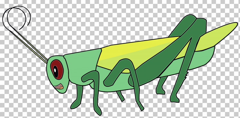 Insect Grasshopper Pollinator Green Cartoon PNG, Clipart, Cartoon,  Grasshopper, Green, Insect, Paint Free PNG Download