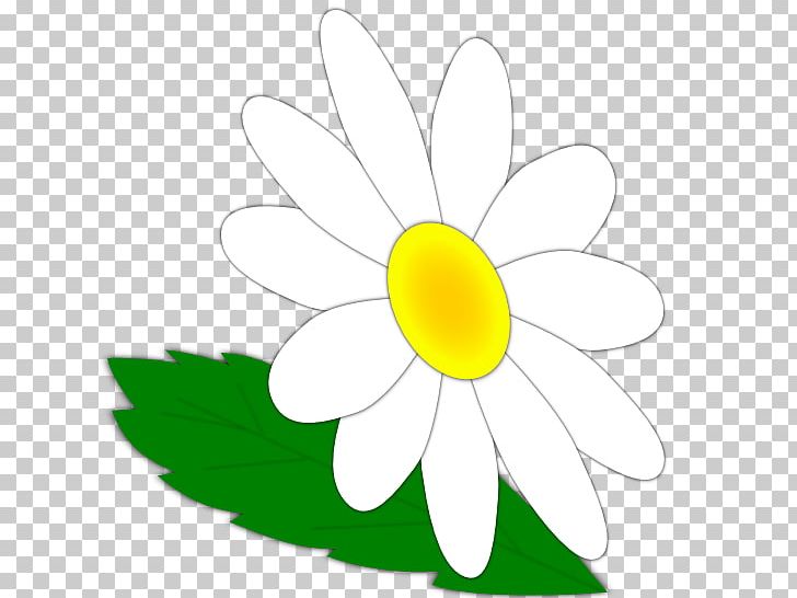 Common Daisy Oxeye Daisy Cut Flowers Common Sunflower PNG, Clipart, Artwork, Common Daisy, Common Sunflower, Cut Flowers, Daisy Free PNG Download