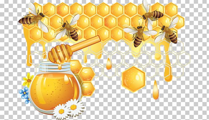 Honey Bee Honeycomb PNG, Clipart, Bee, Beehive, Bee Hive, Bees Honey, Cartoon Bee Free PNG Download