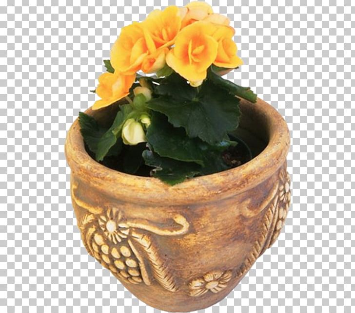Penjing Flowerpot Bonsai Plant PNG, Clipart, Bonsai, Fig Trees, Flower, Flowering Plant, Flowerpot Free PNG Download