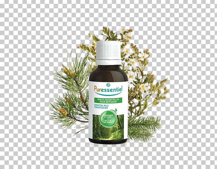 Puressentiel Respiratory Essential Oils (For Diffuser) 30ml PURESSENTIEL DIFFUSE Air Pur Puressentiel Diffusion Forest Walk 30ml PNG, Clipart, Diffuse, Diffuser, Diffusion, Essential Oil, Herb Free PNG Download