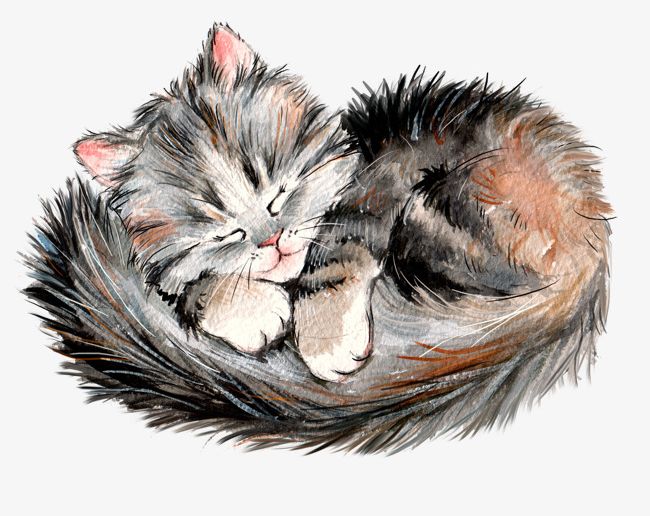 Sleeping Kitten PNG, Clipart, Animal, Decorate, Decoration, Diagram, Hand Free PNG Download