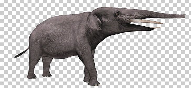 Indian Elephant African Elephant Cattle Wildlife Mammal PNG, Clipart, African Elephant, Animal, Another, Cattle, Cattle Like Mammal Free PNG Download
