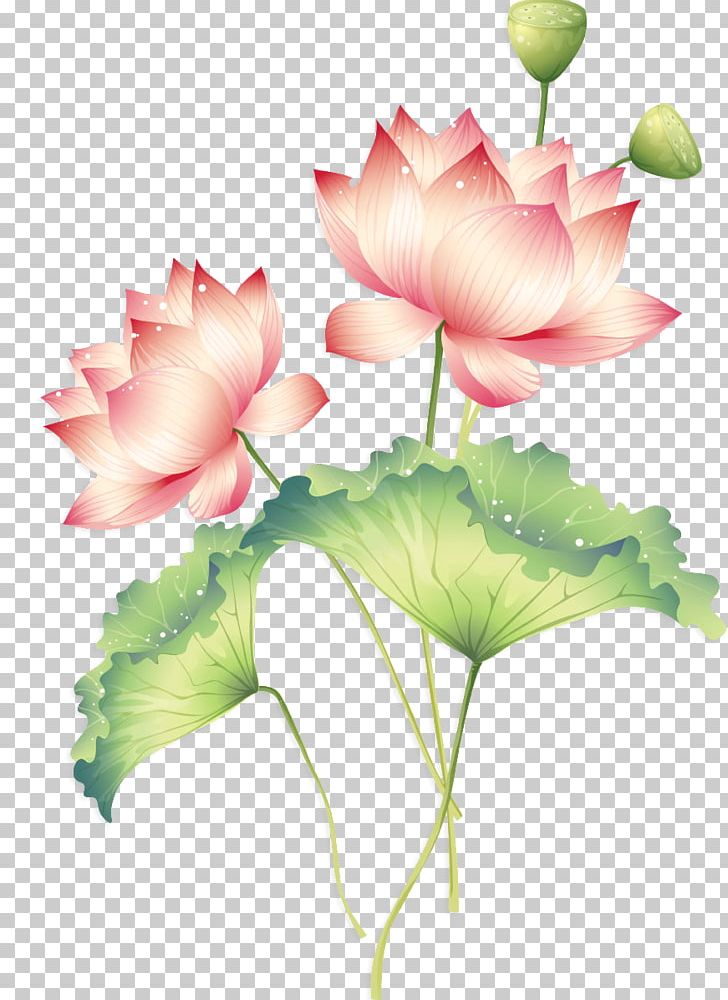 Sichuan Falun Gong Chinese New Year Happiness Loving-kindness PNG, Clipart, Aquatic Plant, Bainian, China, Creative, Flower Free PNG Download