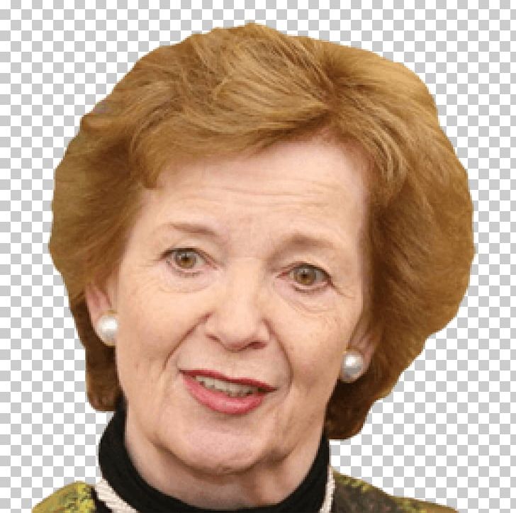 Mary Robinson Republic Of Ireland President Of Ireland Photograph PNG, Clipart, Author, Blond, Brown Hair, Cheek, Chin Free PNG Download