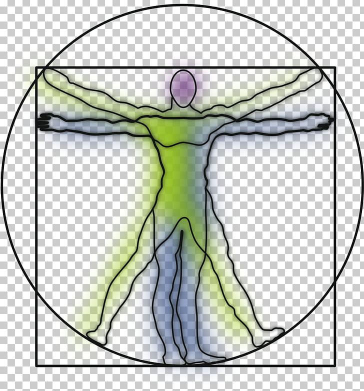 Vitruvian Man Drawing Art PNG, Clipart, Area, Art, Artwork, Circle, Clip Art Free PNG Download