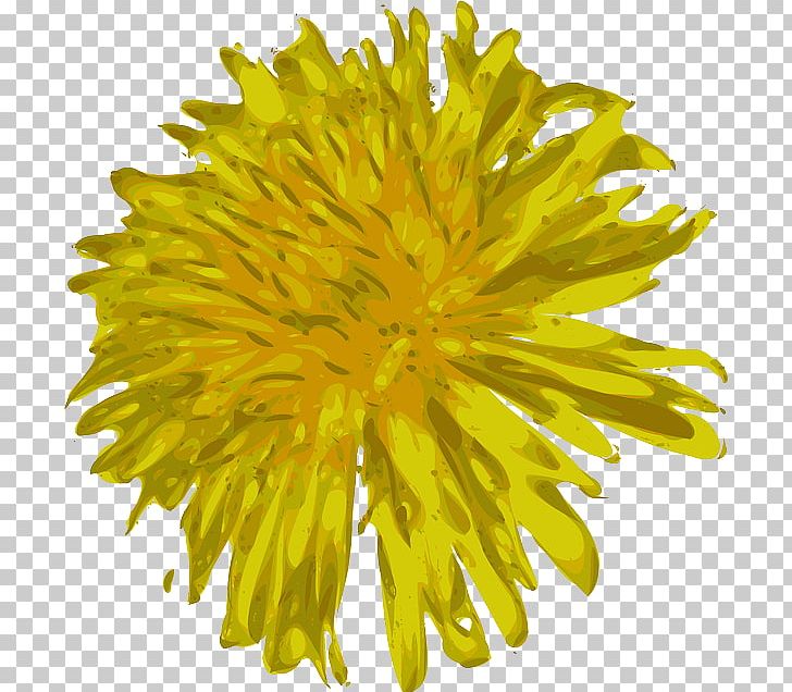 Common Dandelion Dandelion Coffee PNG, Clipart, Chrysanths, Common Dandelion, Computer Icons, Cut Flowers, Daisy Family Free PNG Download