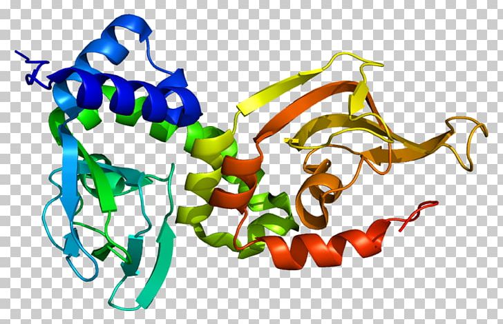 PRKAR1A Gene Protein Kinase A Carney Complex Protein Subunit PNG, Clipart, 1 A, Alpha, Area, Art, Artwork Free PNG Download